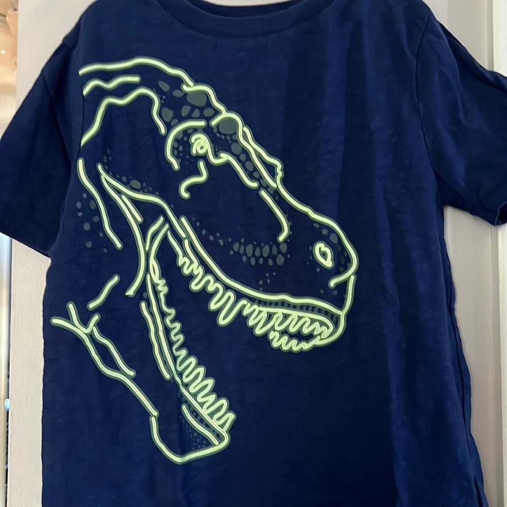 Youth boys, gap T-shirt